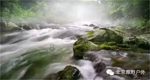 巴山深处“领头雁”