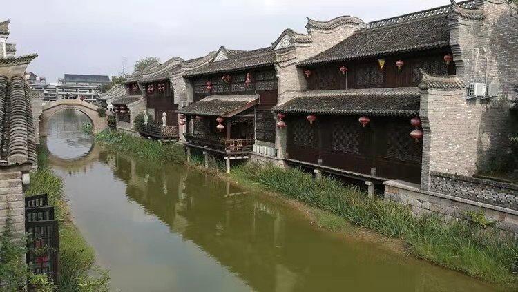 逃离蜥蜴森林